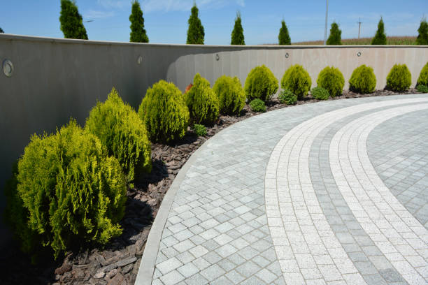 Best Driveway Pavers Cost  in Belcourt, ND