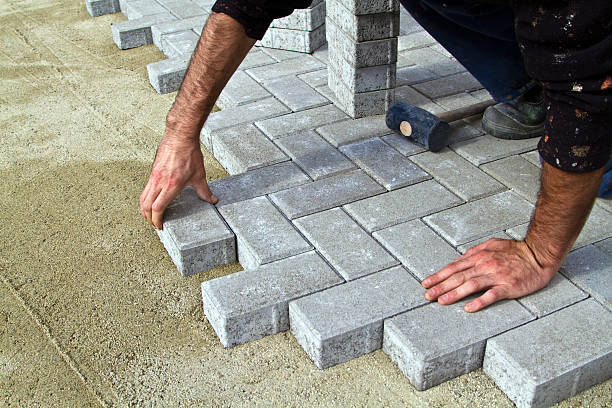Best Local Driveway Pavers  in Belcourt, ND